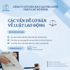 Các vấn đề cơ bản về luật lao động
