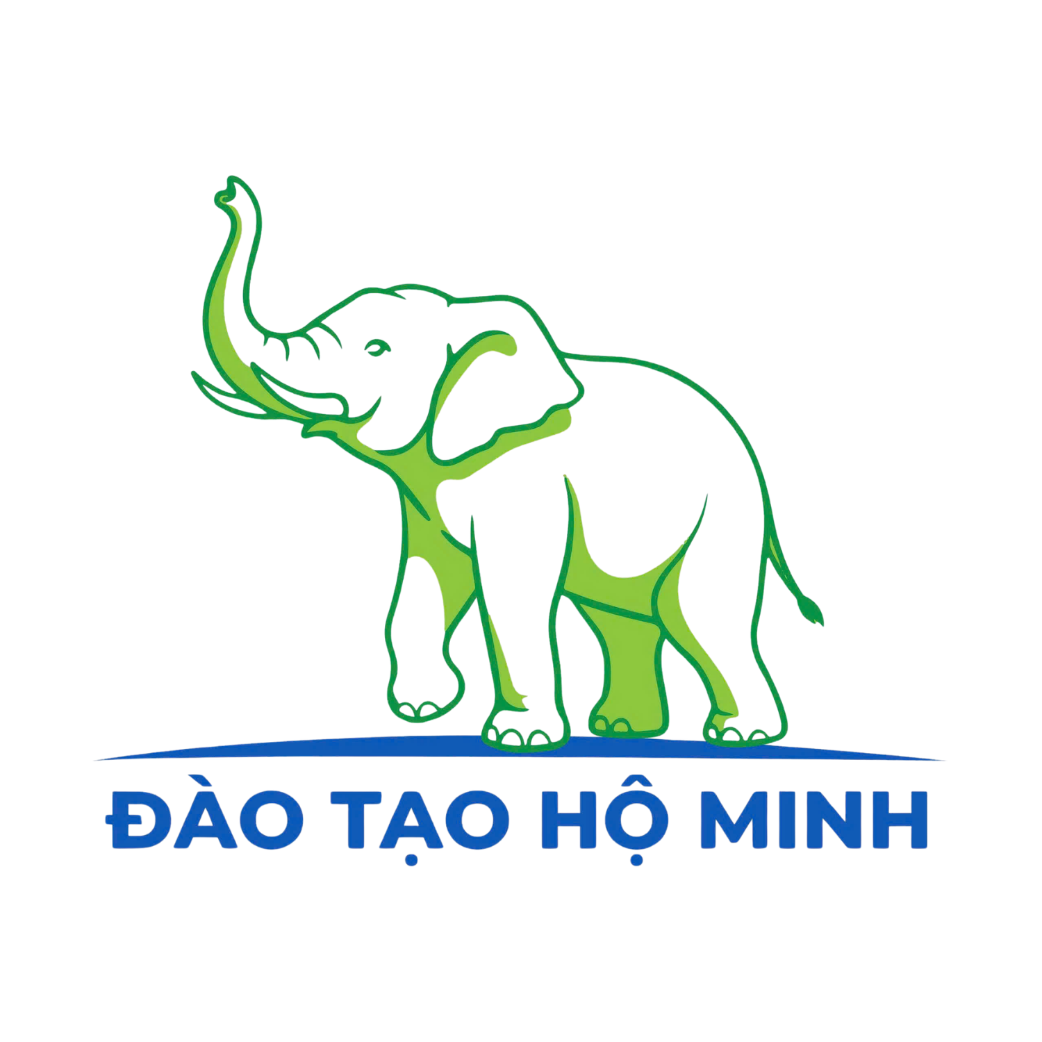 Logo Daotaohominh